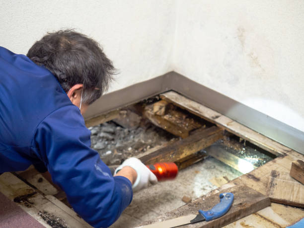 Atwater, CA Mold Removal Company