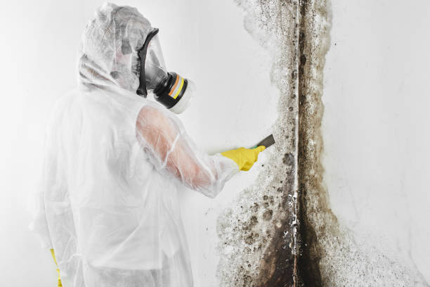 Best Crawl Space Mold Removal  in Atwater, CA