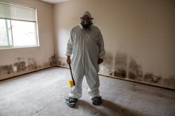 Home Mold Removal in Atwater, CA