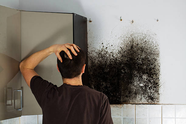 Best Certified Mold Removal  in Atwater, CA
