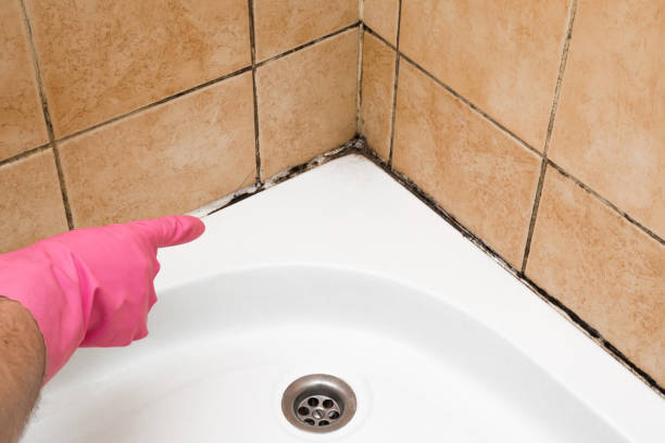 Best Black Mold Removal  in Atwater, CA